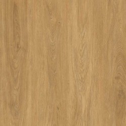 Gold Laminate ProDiamond Roble Doñana PROD04