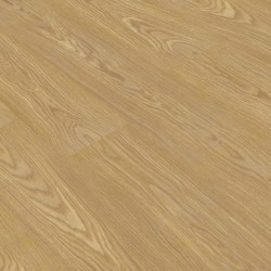 Pro710 Roble Europeo