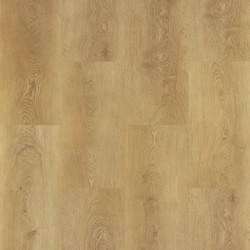 GALAXY LINE ORION WIDE SILENCE CAMEL