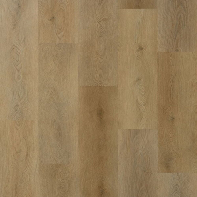 GALAXY LINE ORION LARGE SILENCE SAND