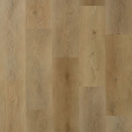 GALAXY LINE ORION LARGE SILENCE SAND