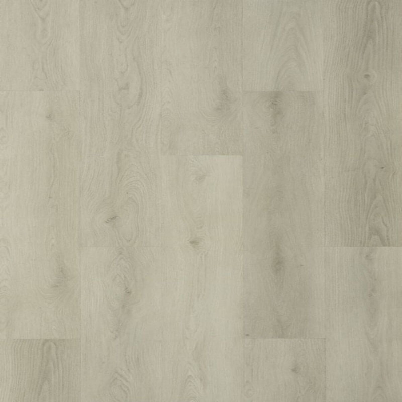 GALAXY LINE ORION LARGE SILENCE SNOW