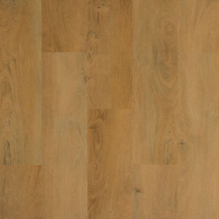 GALAXY LINE ELITE SILENCE BOSQUE BERMEJO