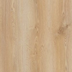 Gold Laminate Essential  Roble Miami E002
